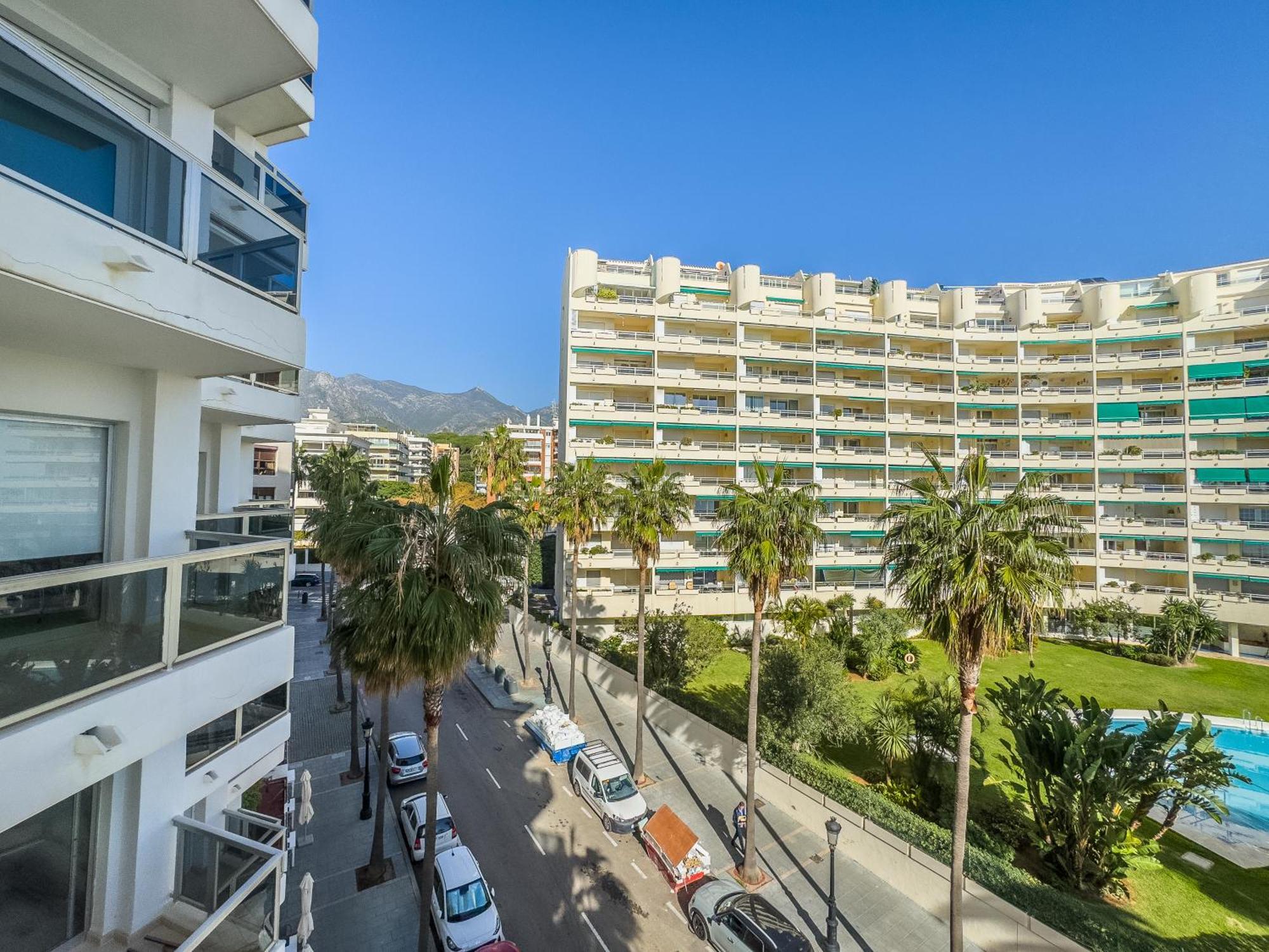 Apartment Palm 4b *